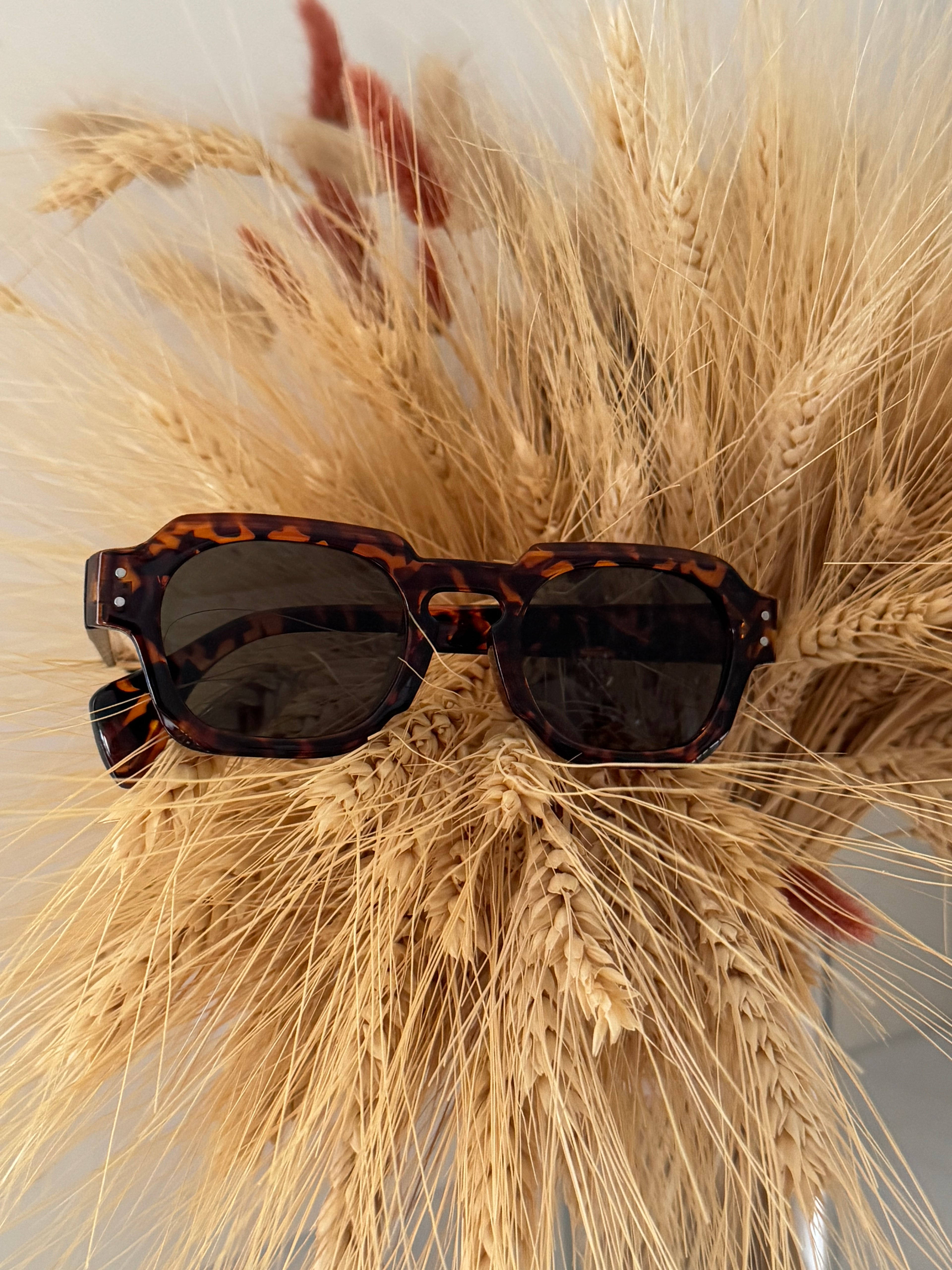 tortoise shell sunglass