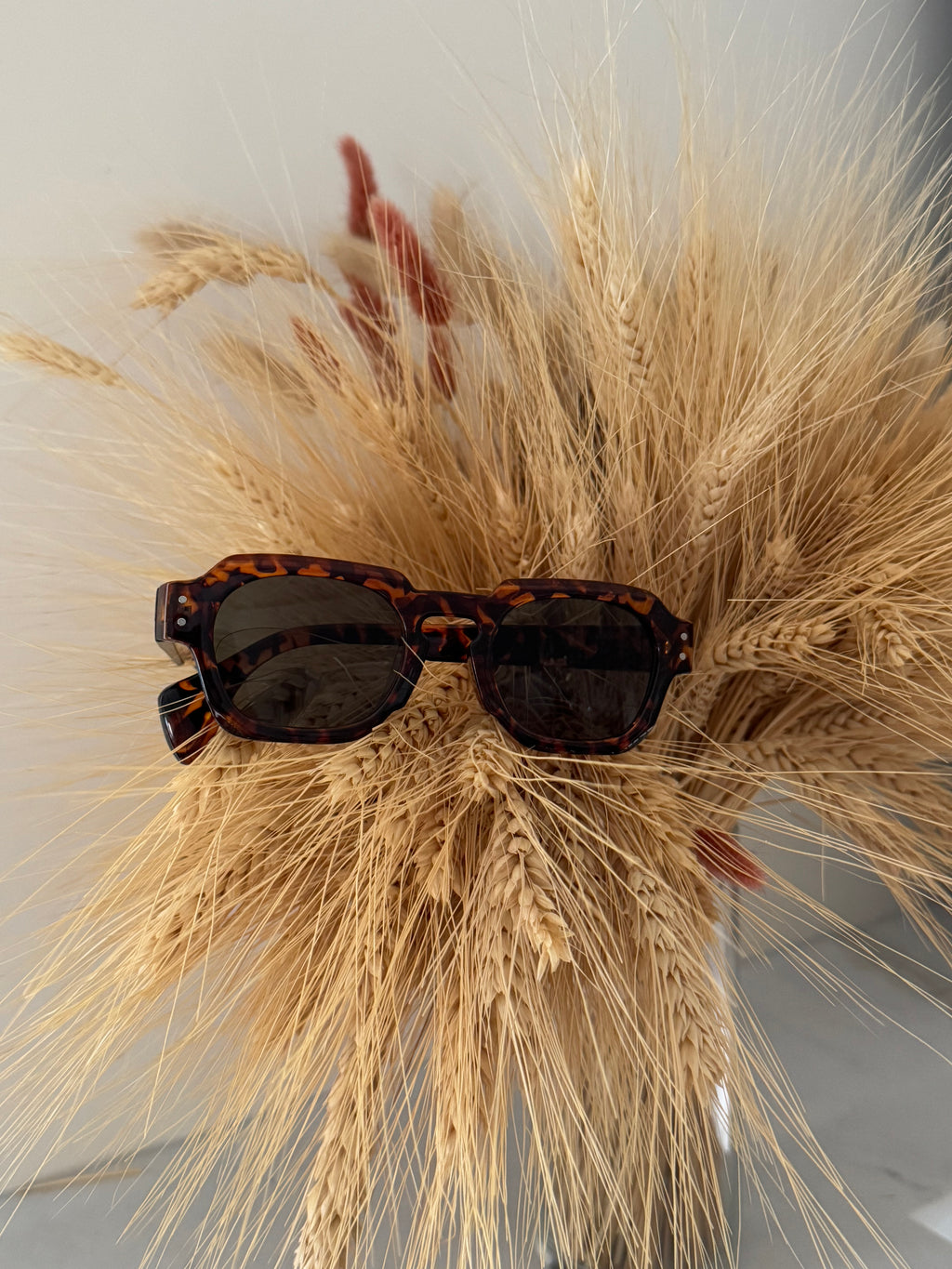 tortoise shell sunglass