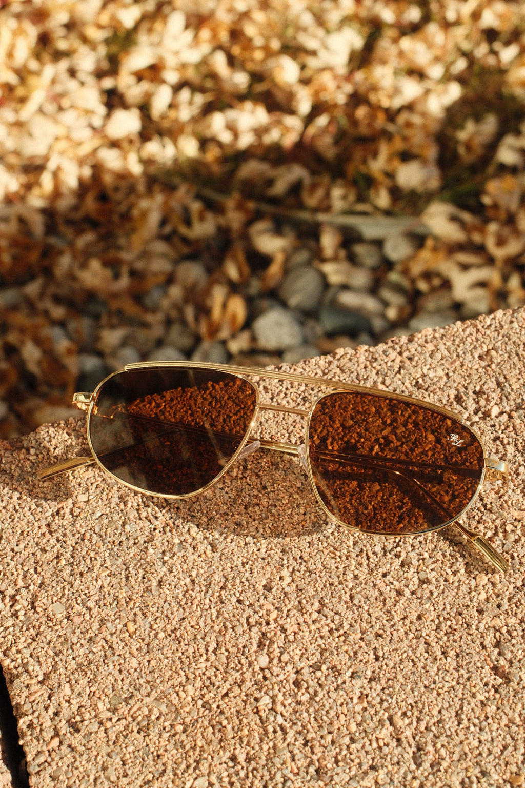 the don sunglass - brown