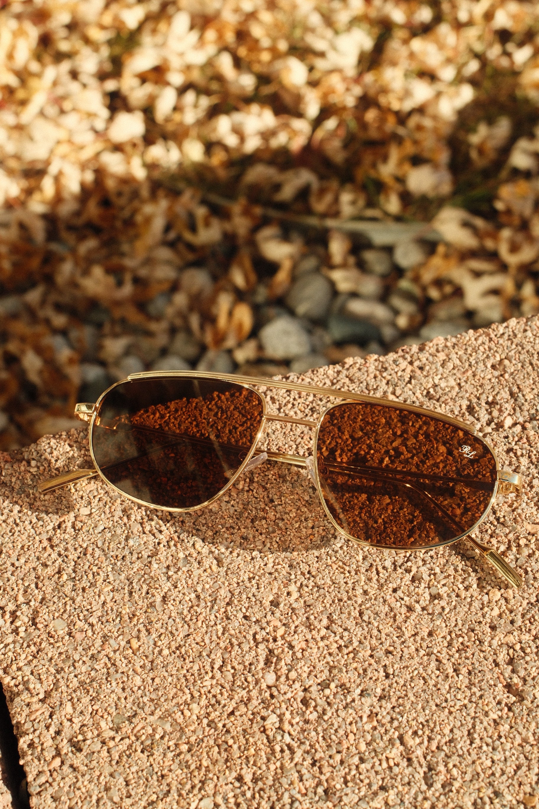 the don sunglass - brown