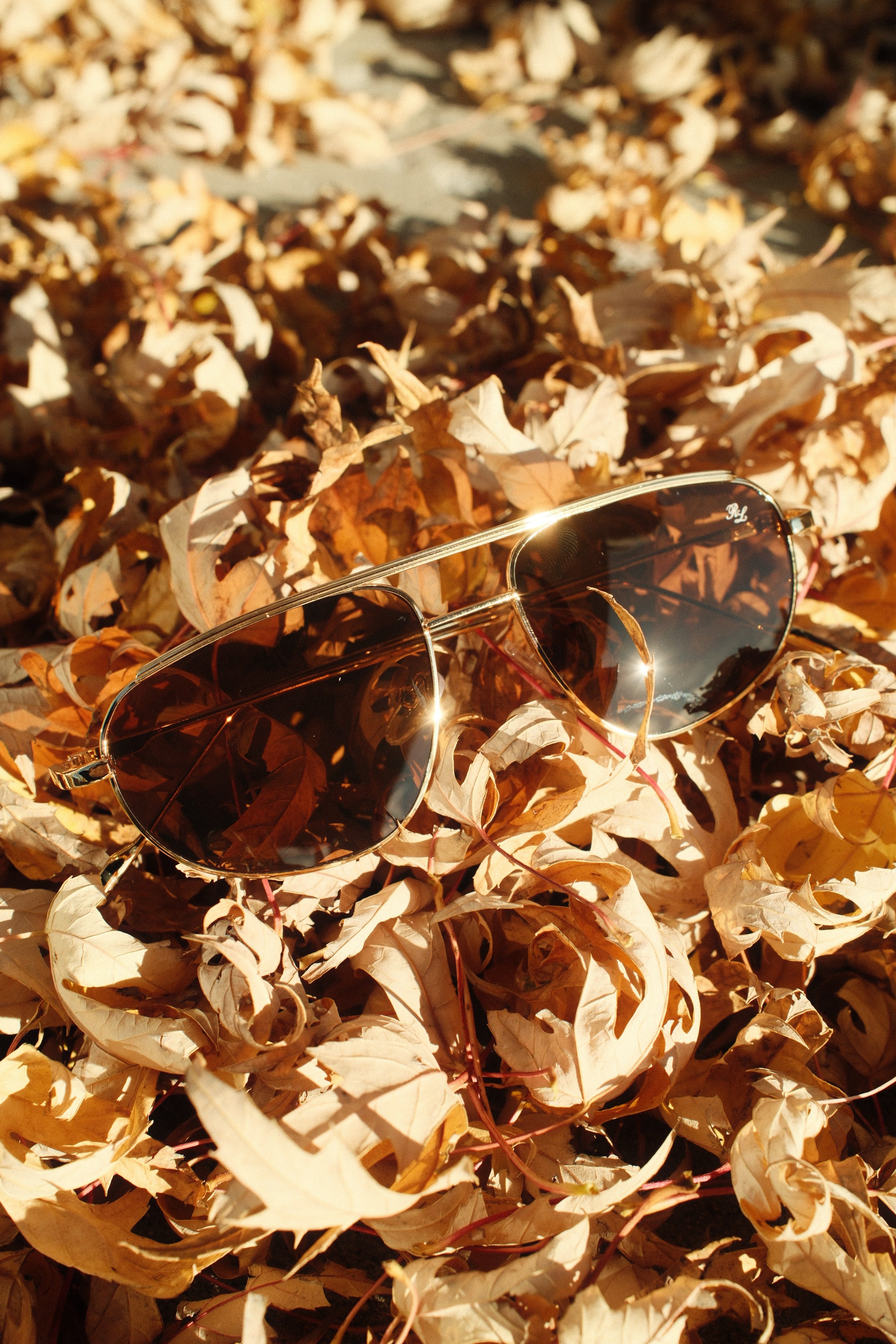 the don sunglass - brown