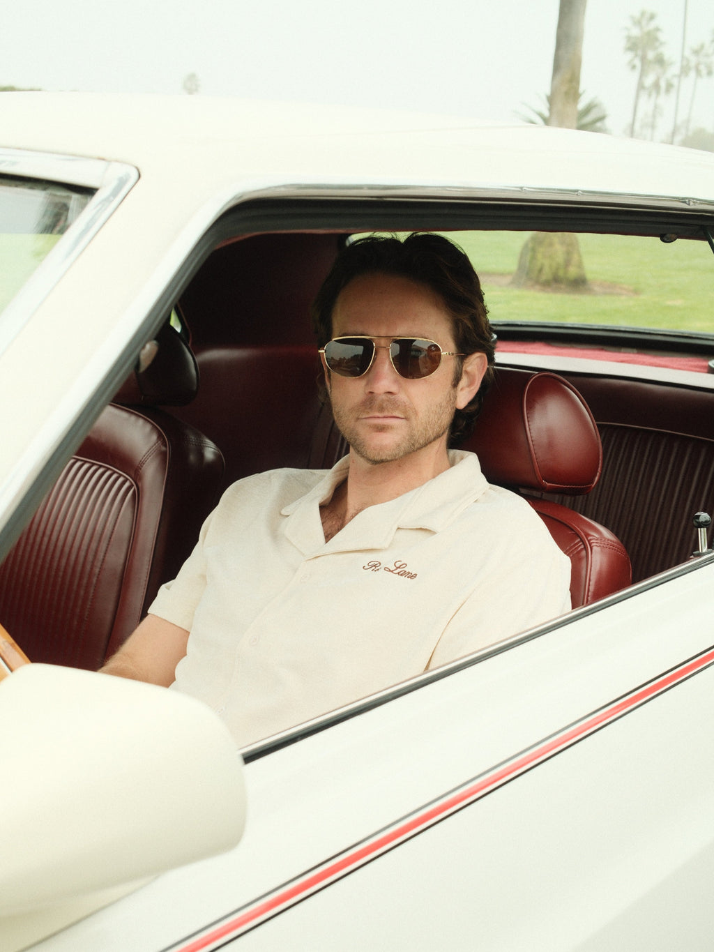 the don sunglass - brown